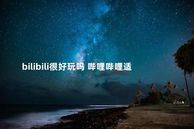 bilibili很好玩吗 哔哩哔哩适合什么人群